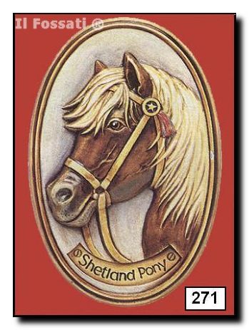 271-Placa caballo Shetland
