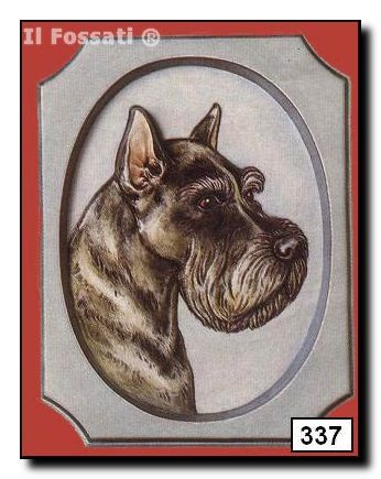 337-Placa perro Schnauzer