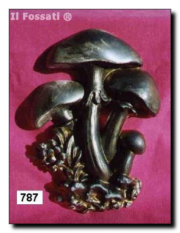 787-Hongos x4