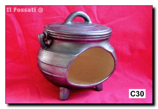 C30-Olla esponjera
