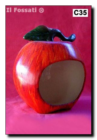 C35-Manzana esponjera